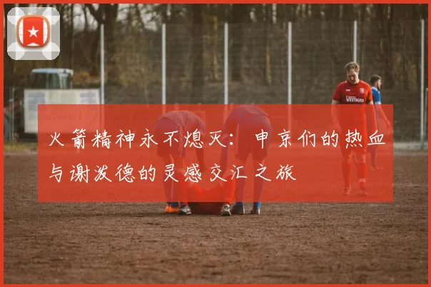 火箭精神永不熄灭：申京们的热血与谢泼德的灵感交汇之旅